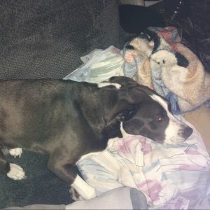 Meet your Posher, Olivia